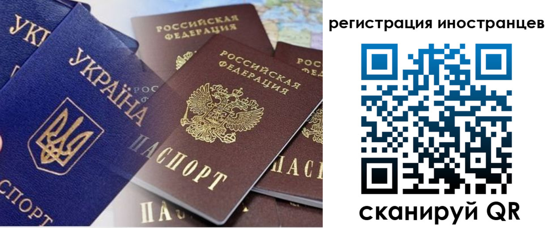 временная регистрация собственник в Елизово
